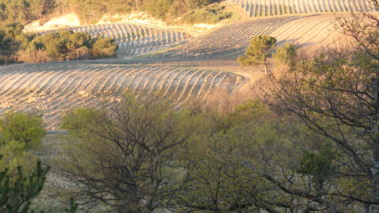 Photo of Outdoor in Venterol