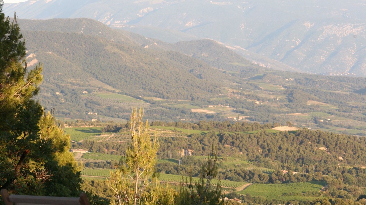 Photo of Others in Venterol