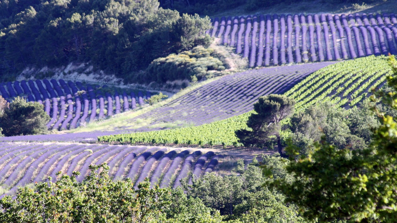Photo of Outdoor in Venterol