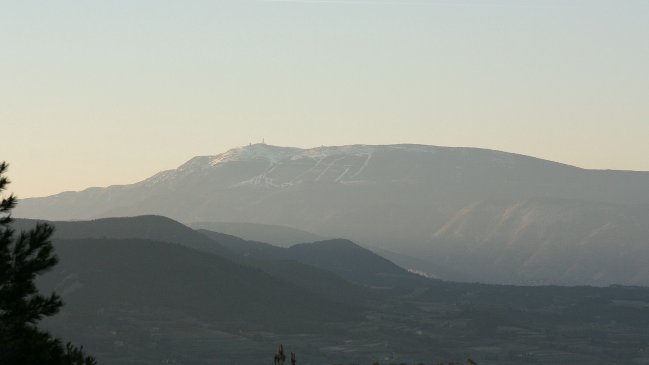 Photo of Others in Venterol