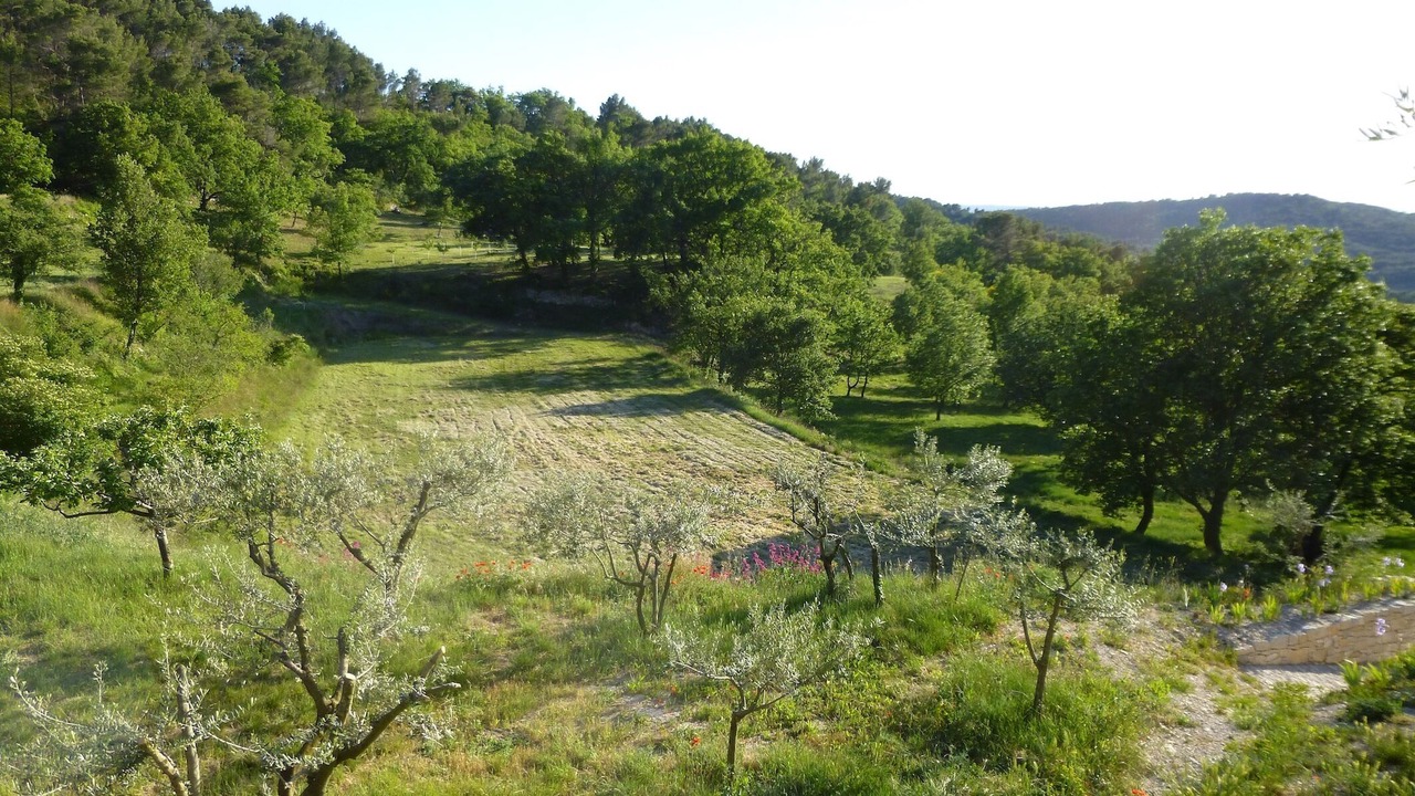 Photo of Outdoor in La Roque-sur-Pernes