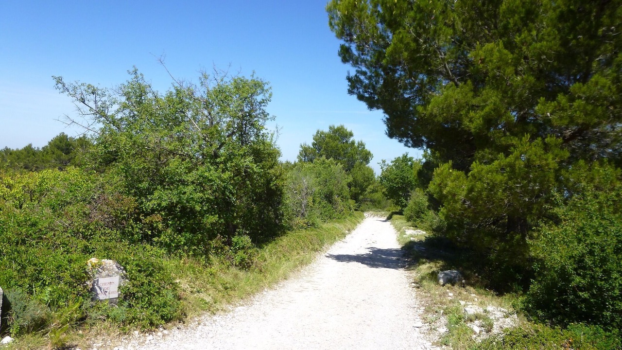 Photo of Outdoor in La Roque-sur-Pernes