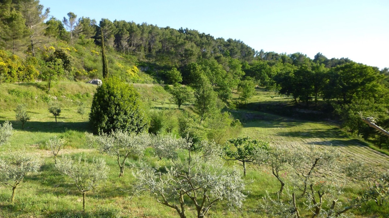 Photo of Others in La Roque-sur-Pernes