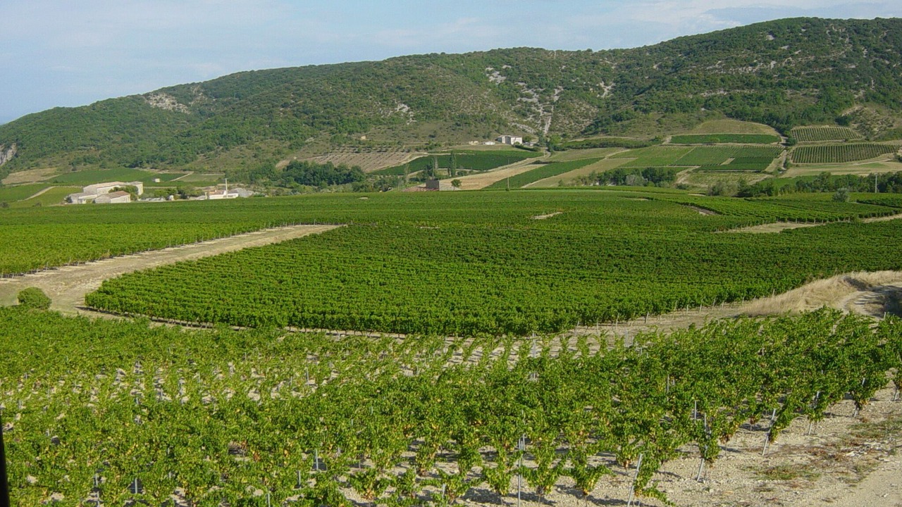 Photo of Others in Valvigneres