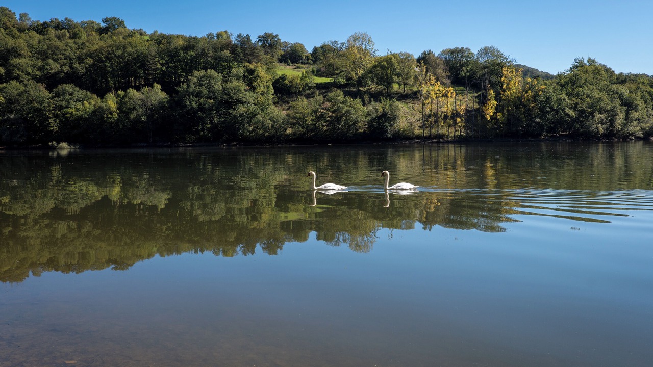 Photo of Others in Sainte-Eulalie-d'Olt