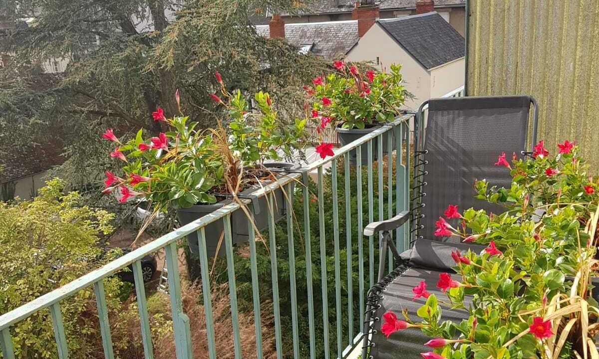 Photo of Outdoor in Nevers