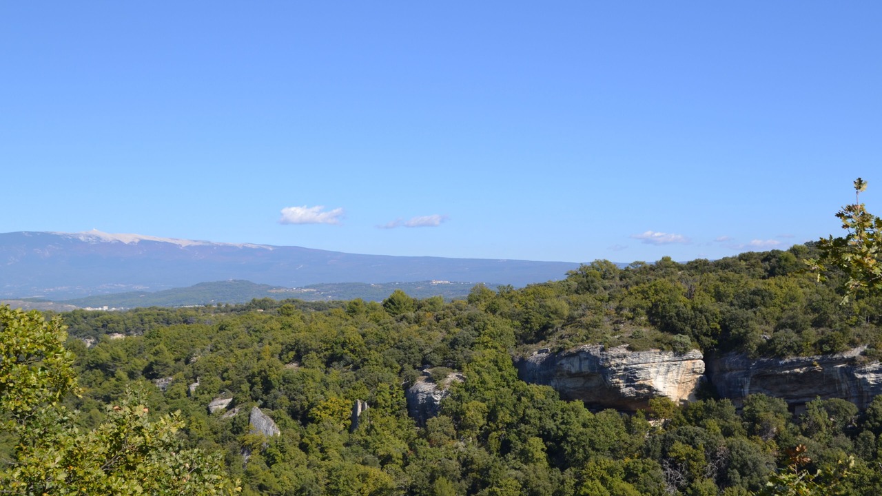 Photo of Others in La Roque-sur-Pernes