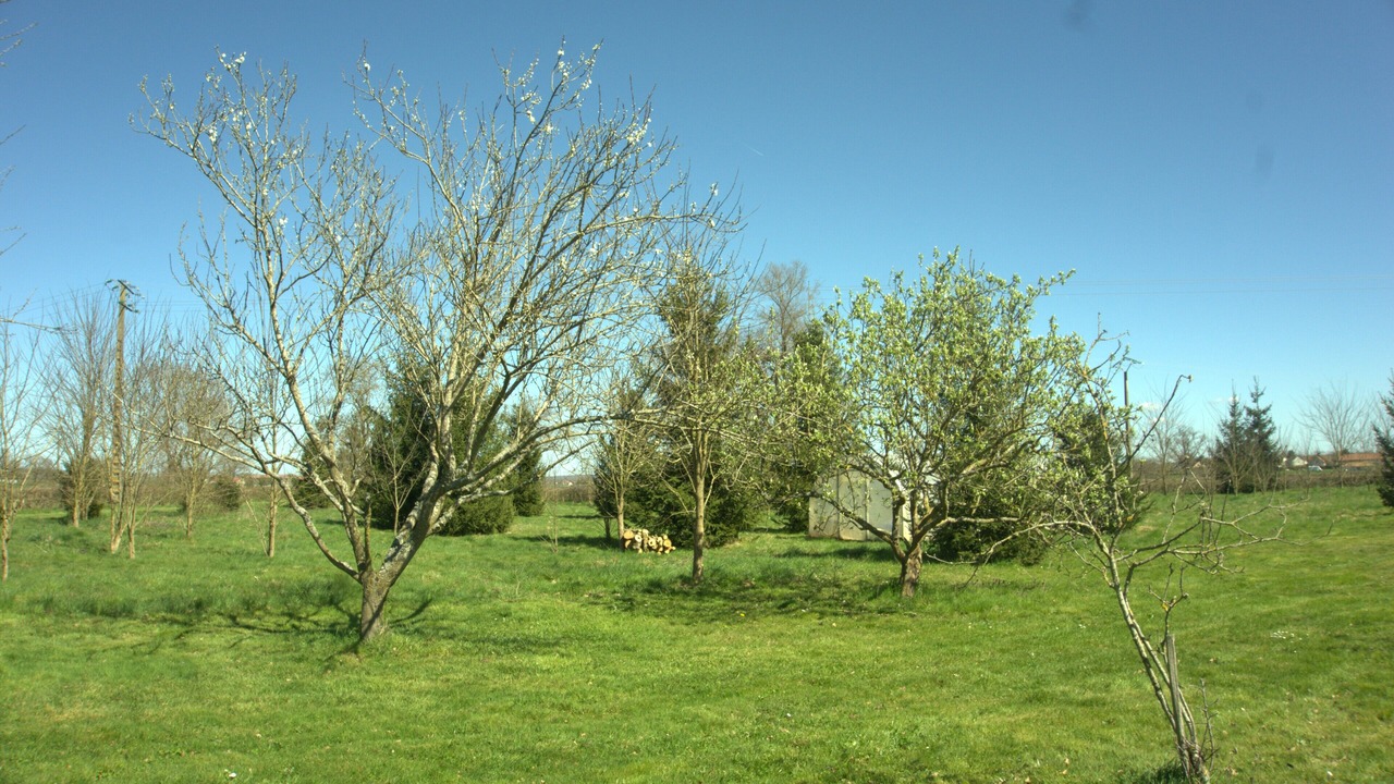 Photo of Others in Vitry-en-Charollais
