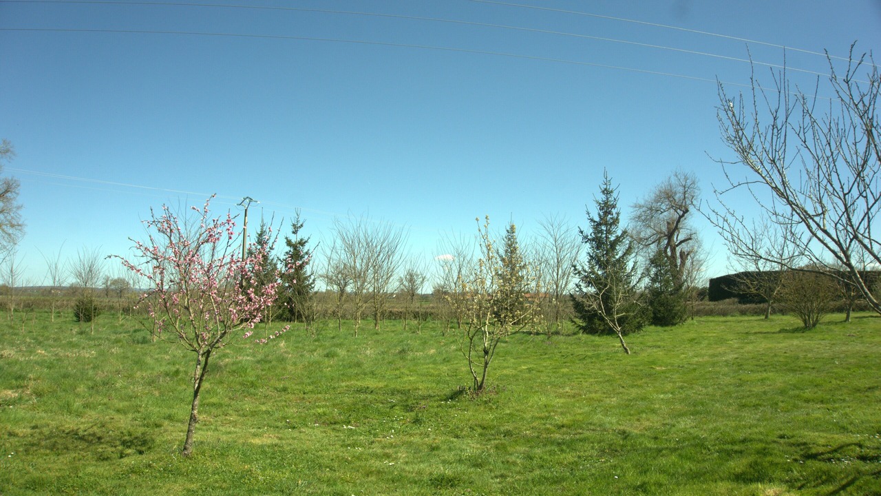 Photo of Others in Vitry-en-Charollais