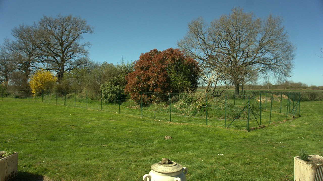 Photo of Outdoor in Vitry-en-Charollais
