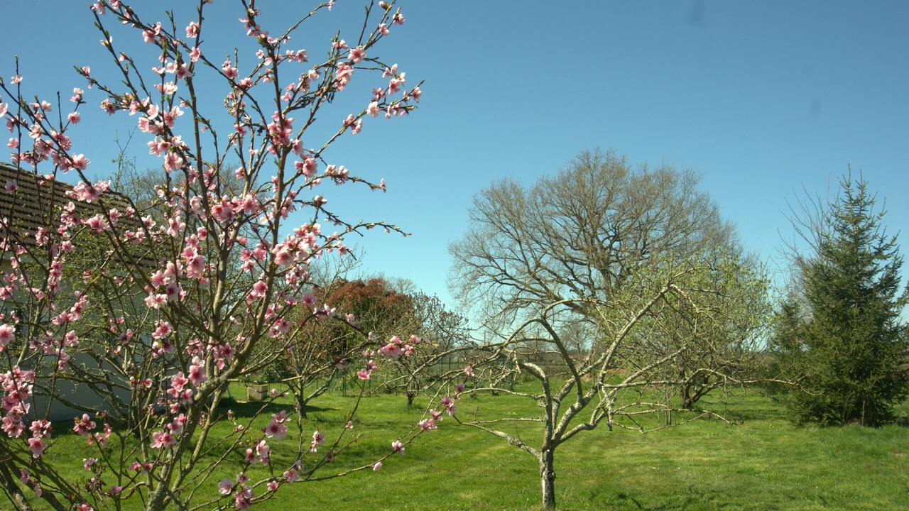 Photo of Others in Vitry-en-Charollais