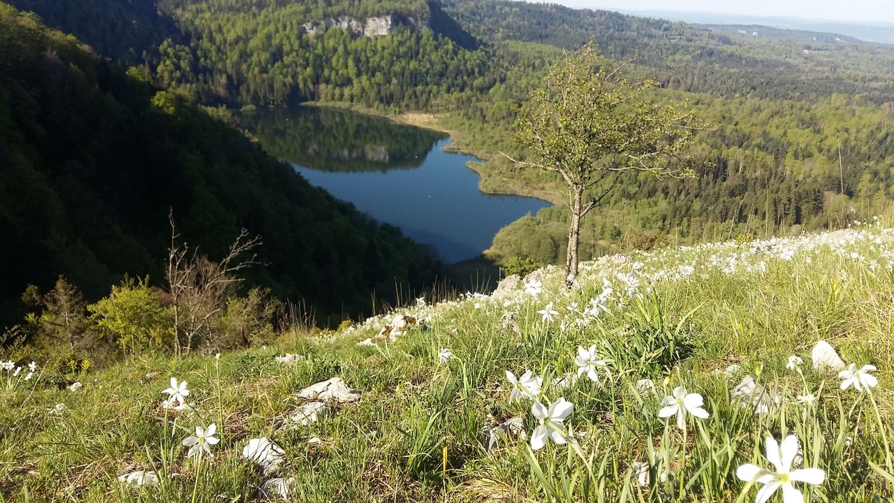Photo of Others in Bonlieu
