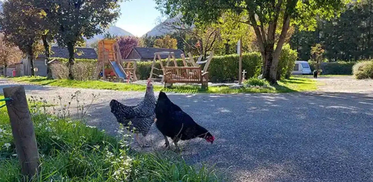 Photo of Outdoor in Chezery Forens