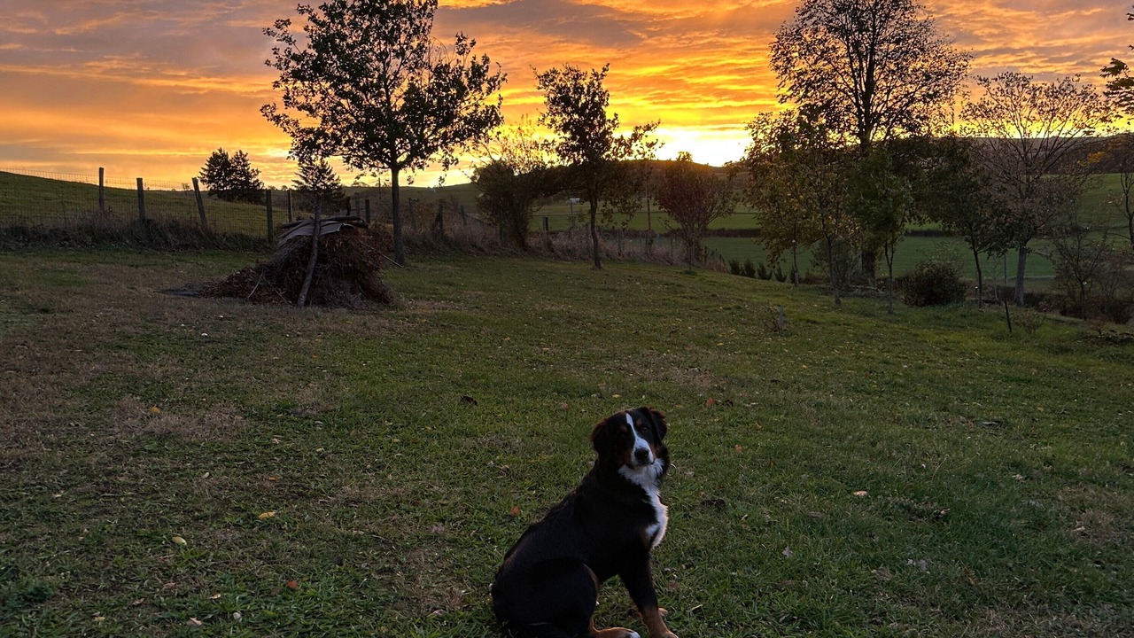Photo of Outdoor in Fourneaux