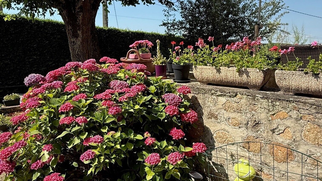 Photo of Outdoor in Fourneaux