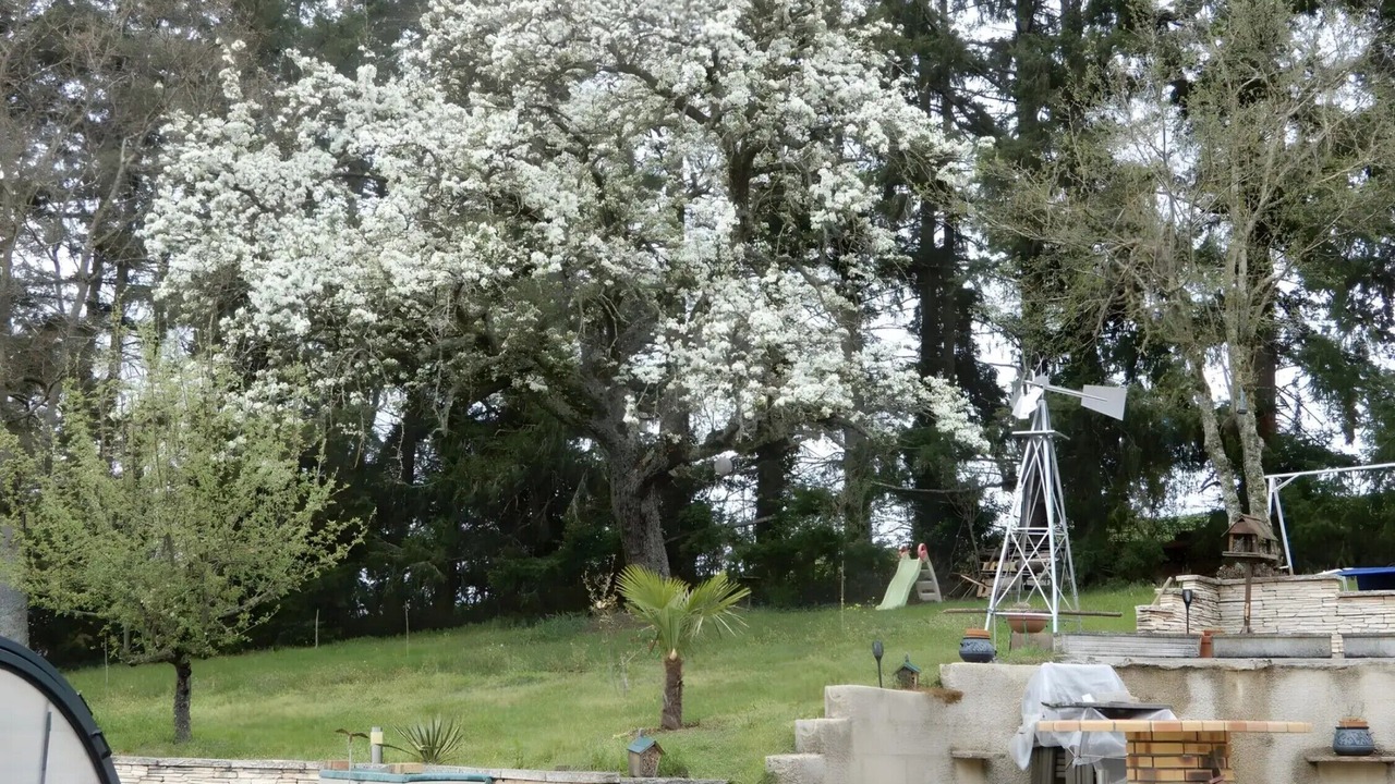 Photo of Outdoor in Fourneaux