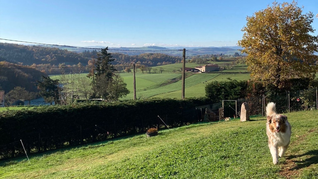 Photo of Outdoor in Fourneaux