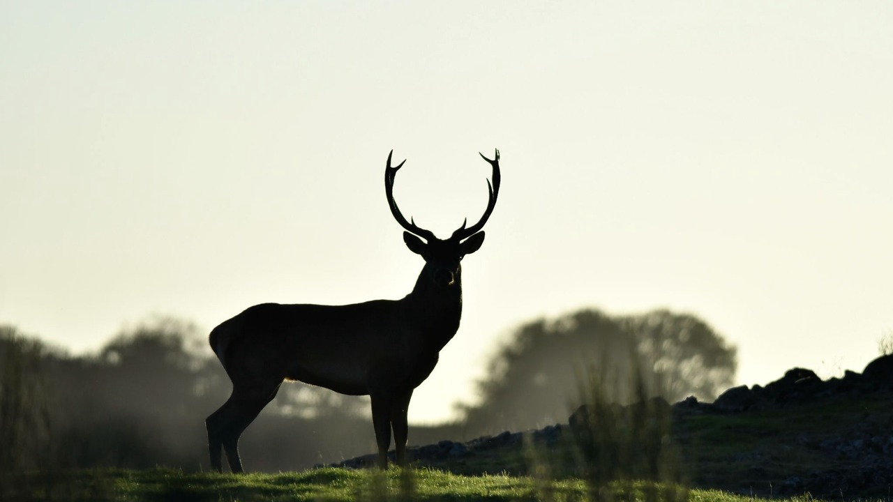 Photo of Others in Condom-d'Aubrac