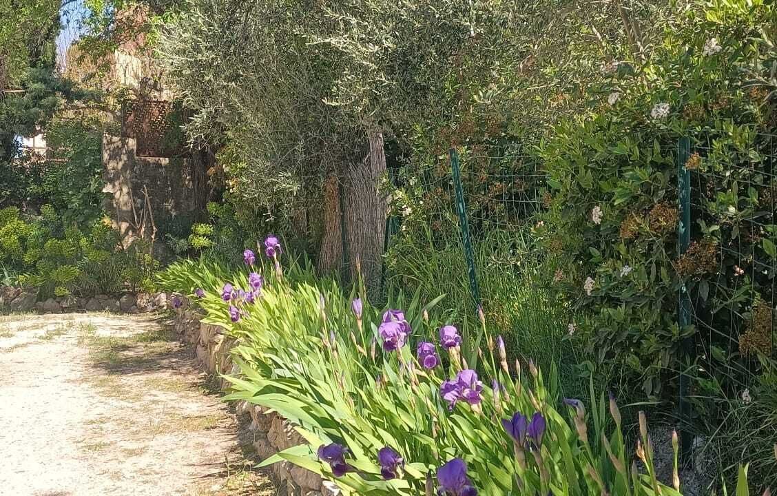 Photo of Outdoor in Le Barroux