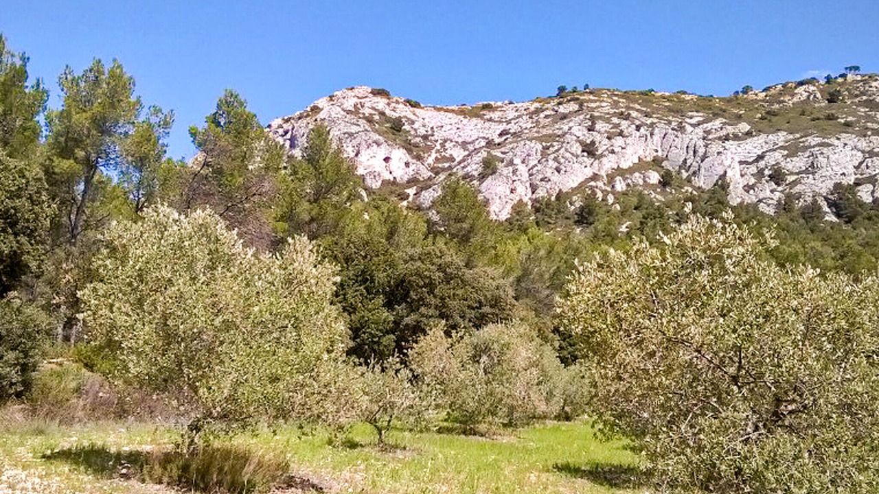 Photo of Others in Taillades