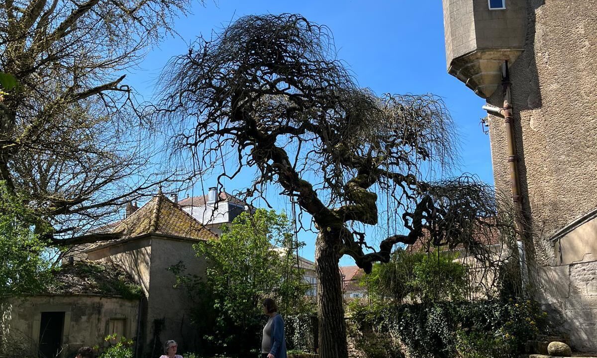 Photo of Others in Passavant-la-Rochere