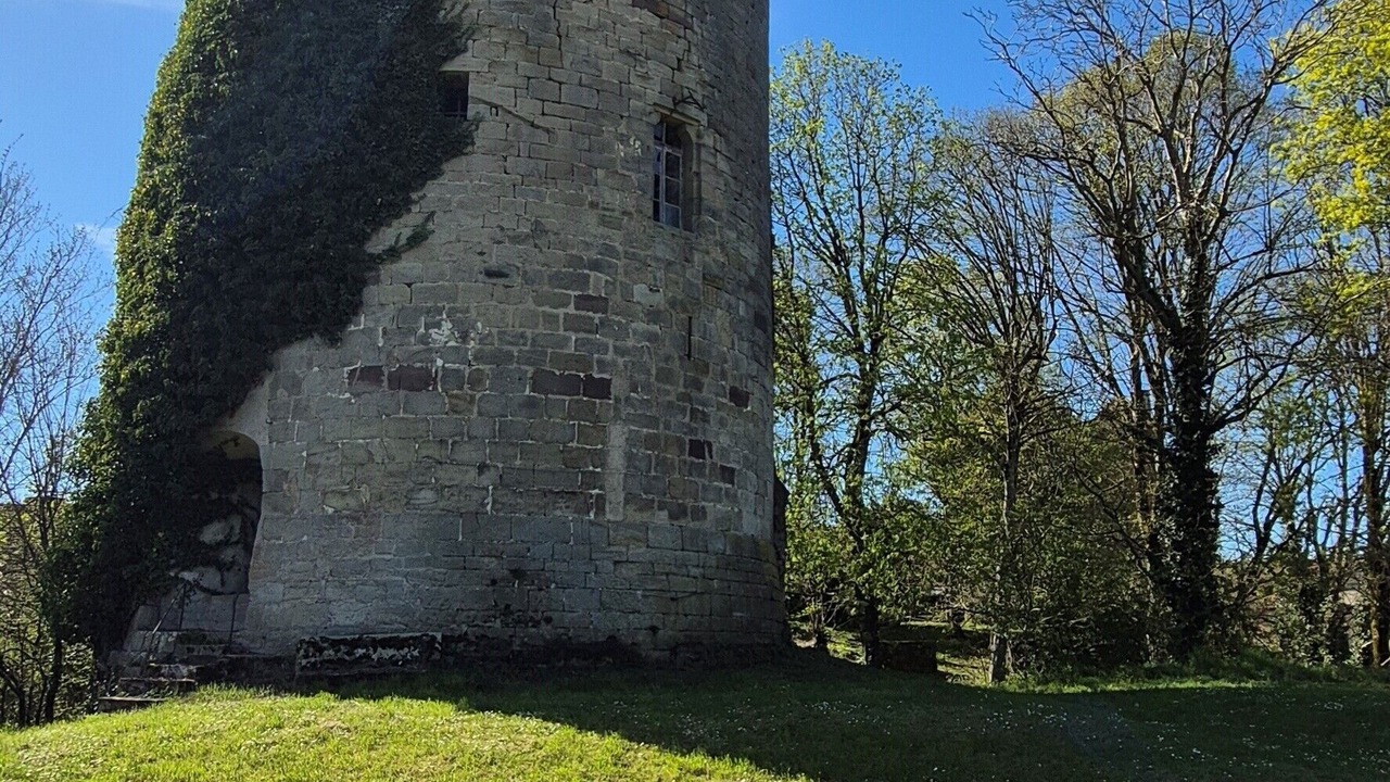 Photo of Others in Passavant-la-Rochere