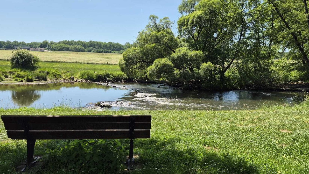 Photo of Others in Passavant-la-Rochere