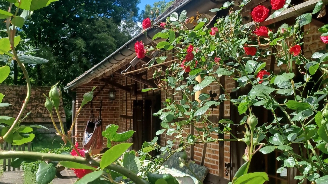 Photo of Outdoor in Saint Usuge