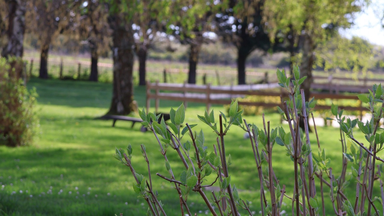Photo of Outdoor in Chaulgnes