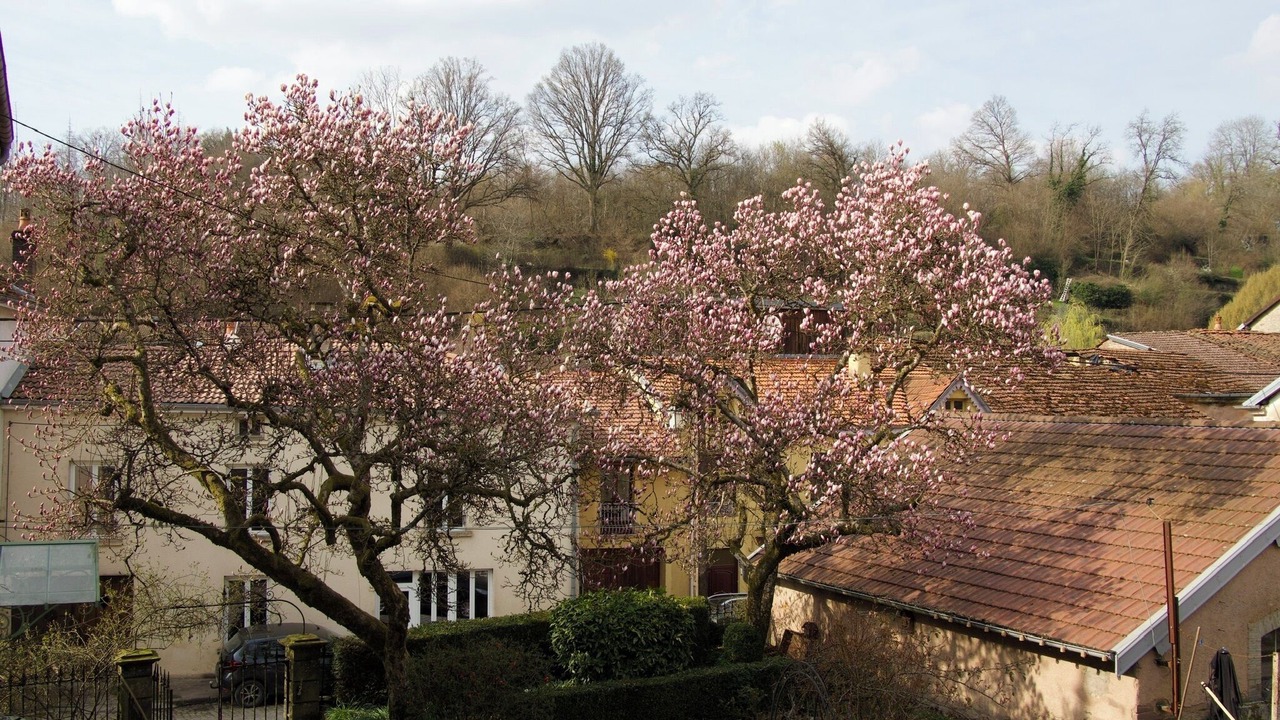 Photo of Outdoor in Fontenoy-le-Chateau