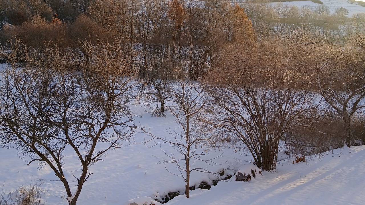 Photo of Others in Pierre-Chatel