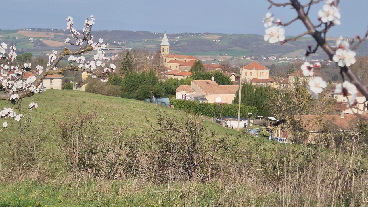 Photo of Outdoor in Saint-Avit