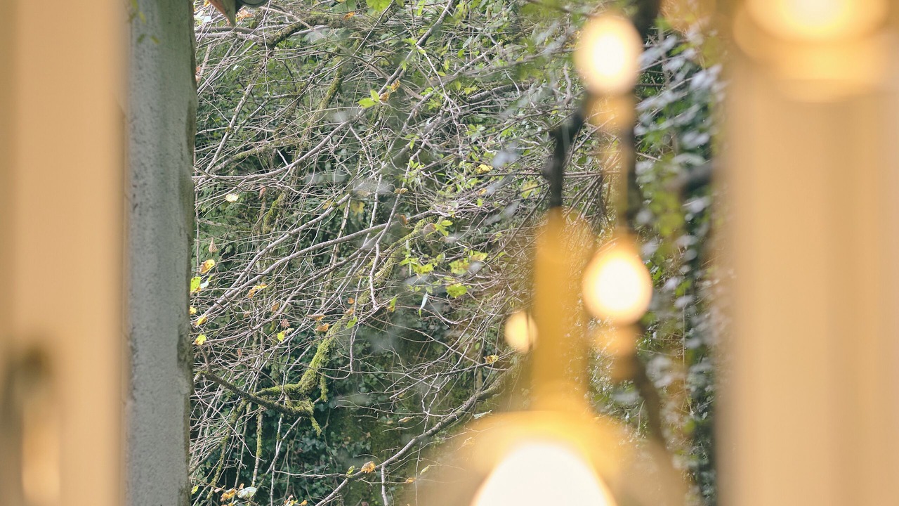 Photo of Others in Lons-le-Saunier