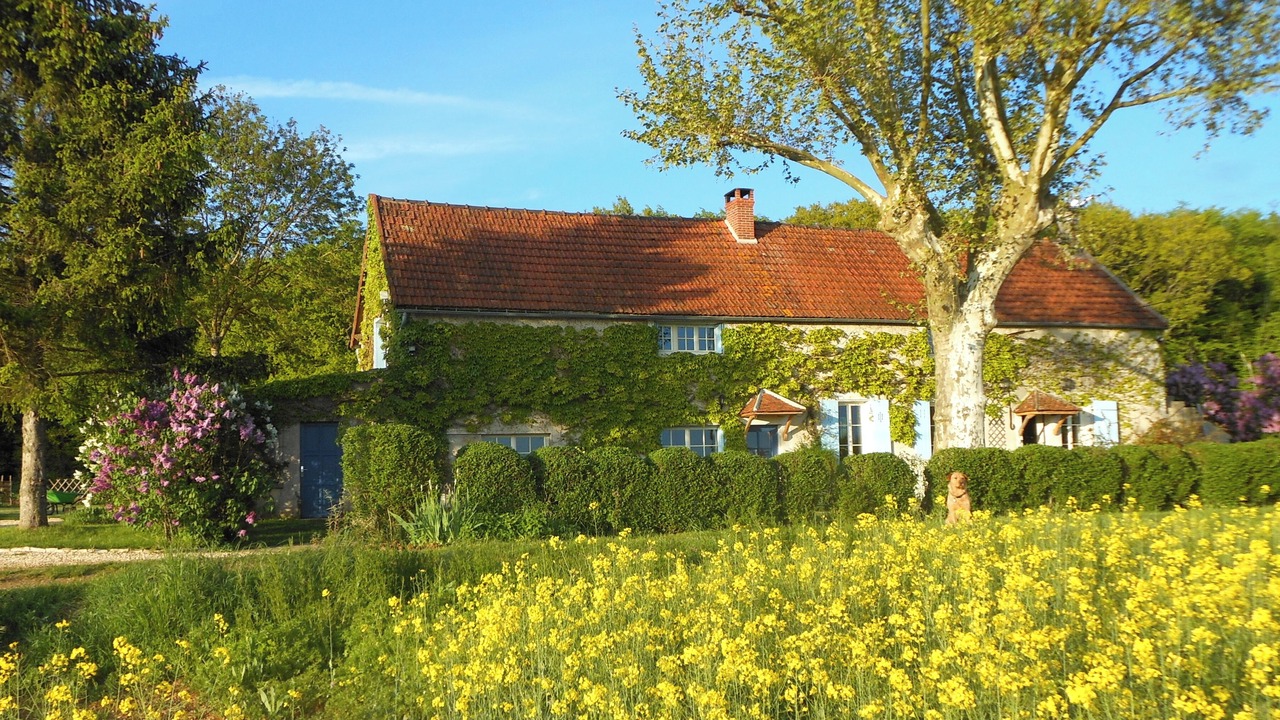 Photo of Outdoor in Andryes
