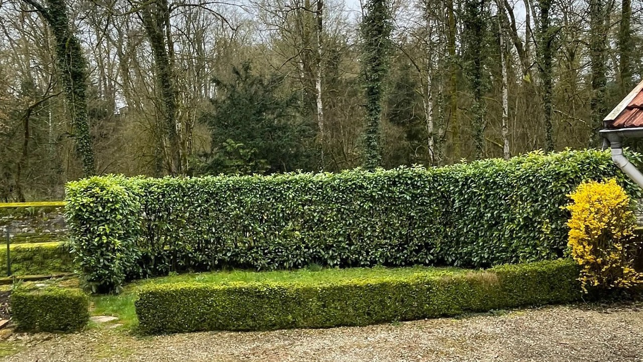 Photo of Outdoor in Charcenne