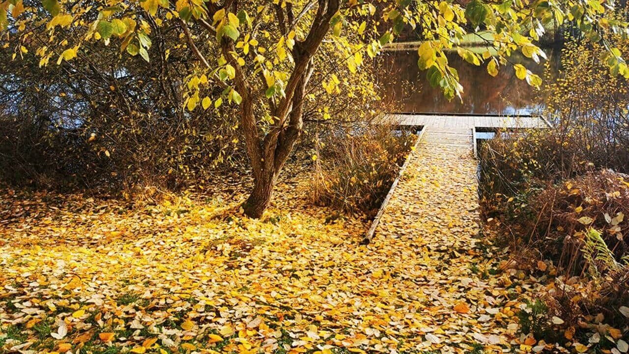 Photo of Outdoor in Travexin
