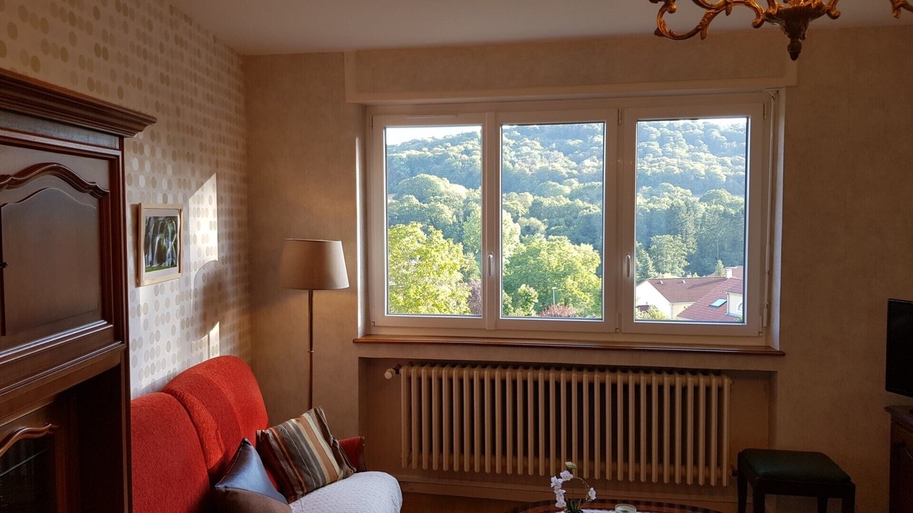 Photo of Livingroom in Saulny
