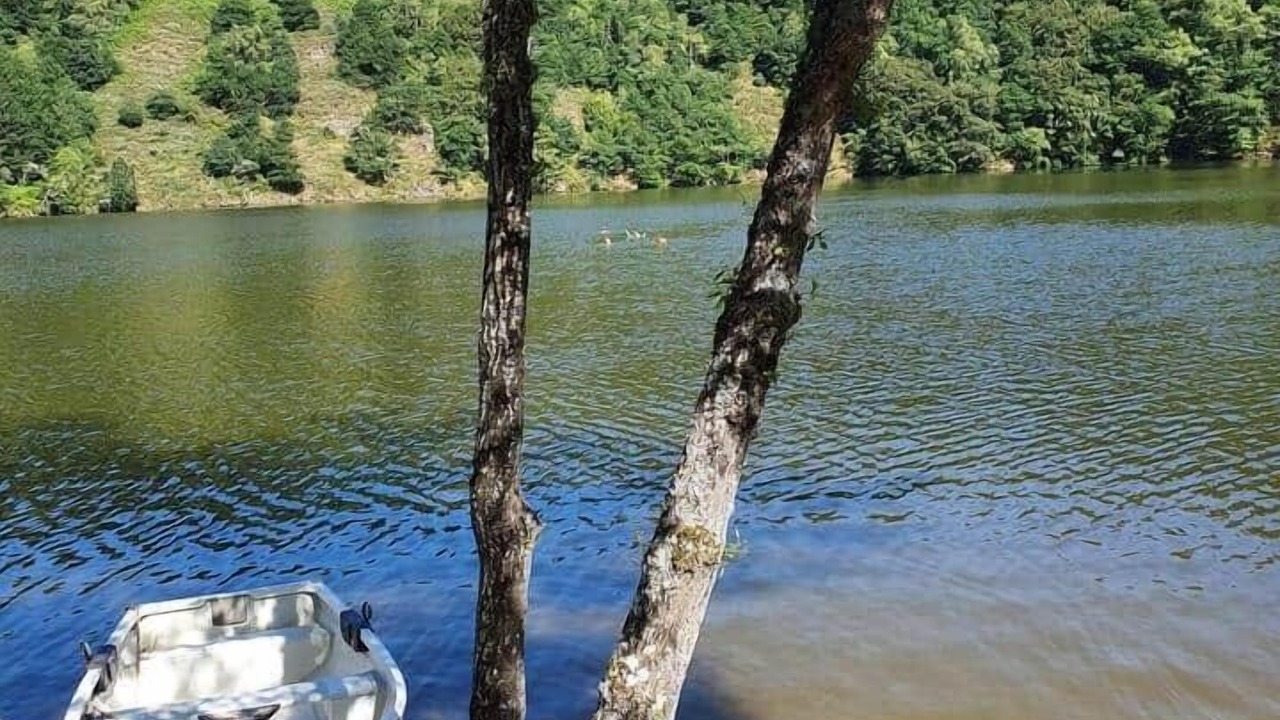 Photo of Others in Lavastrie