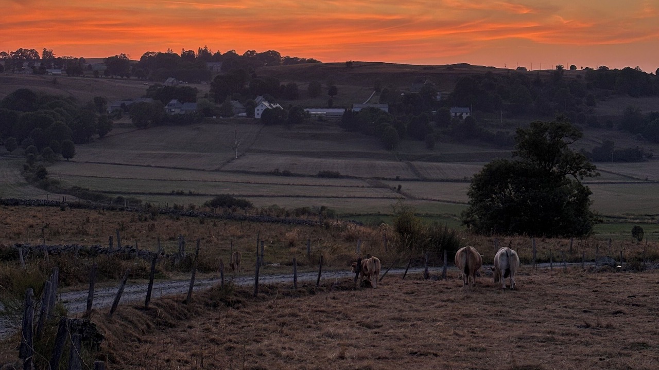 Photo of Others in Recoules-d'Aubrac