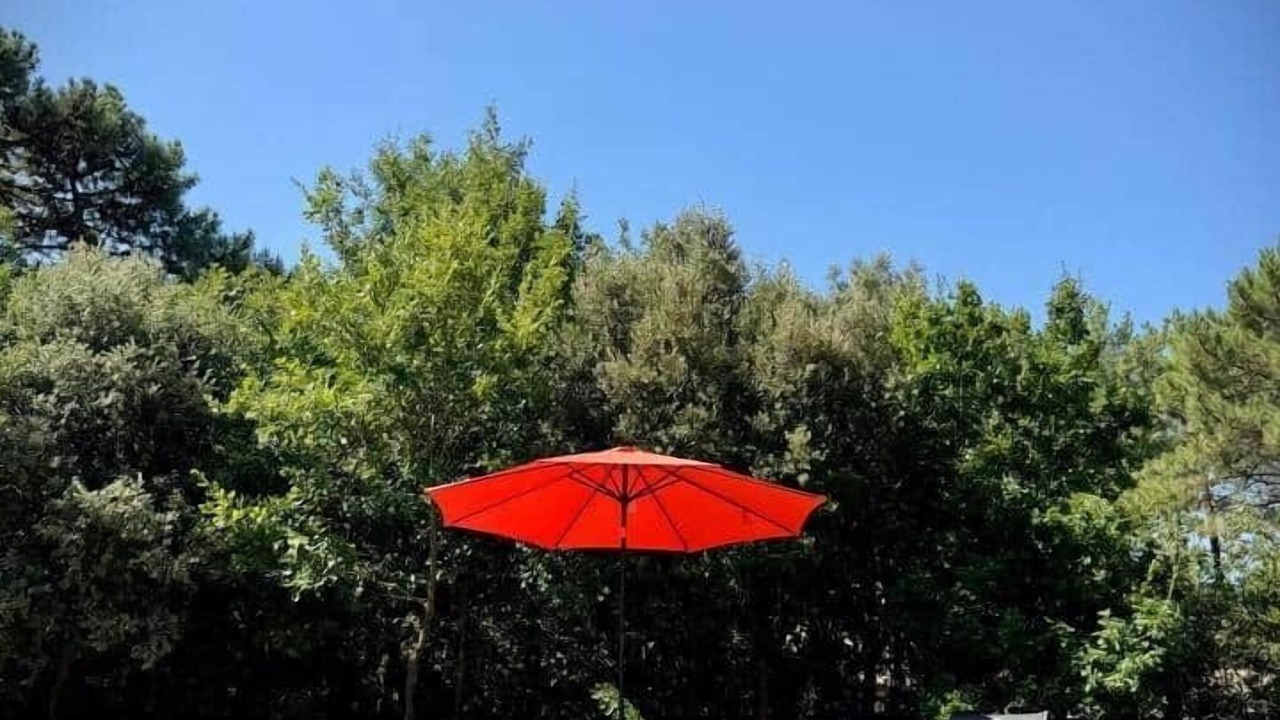 Photo of Outdoor in Mornas