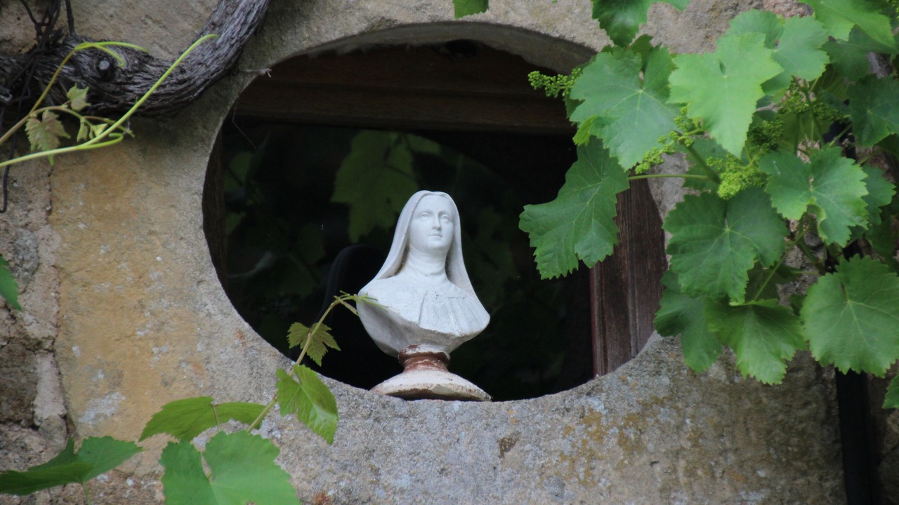 Photo of Outdoor in Preporche