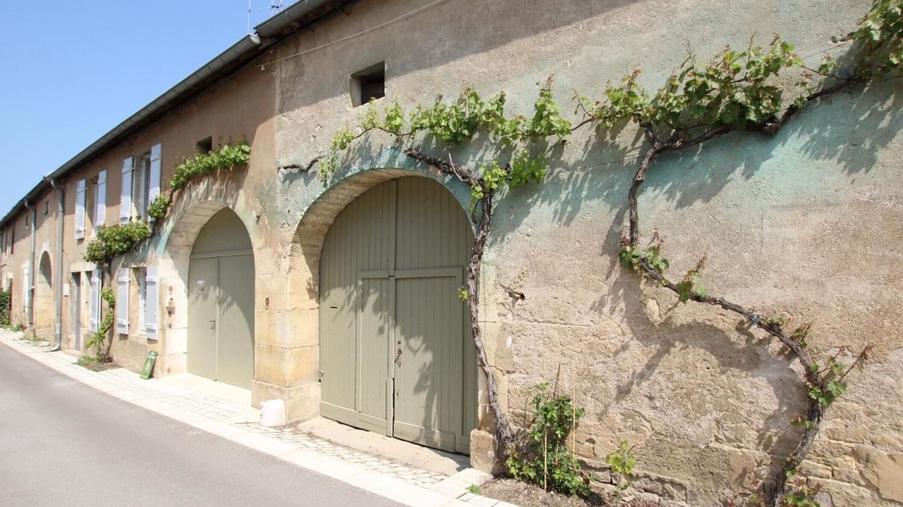 Photo of Outdoor in Bucey-les-Gy