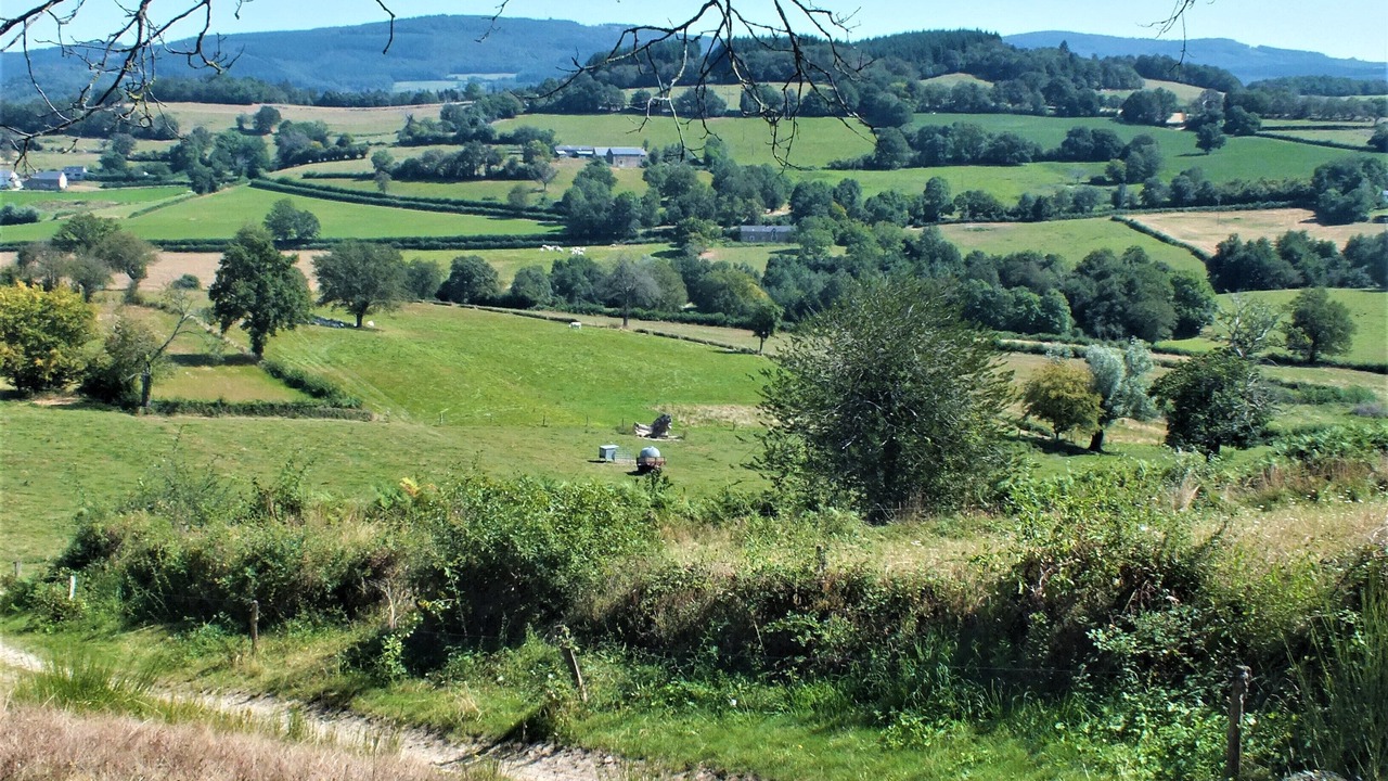 Photo of Others in Moulins Engilbert