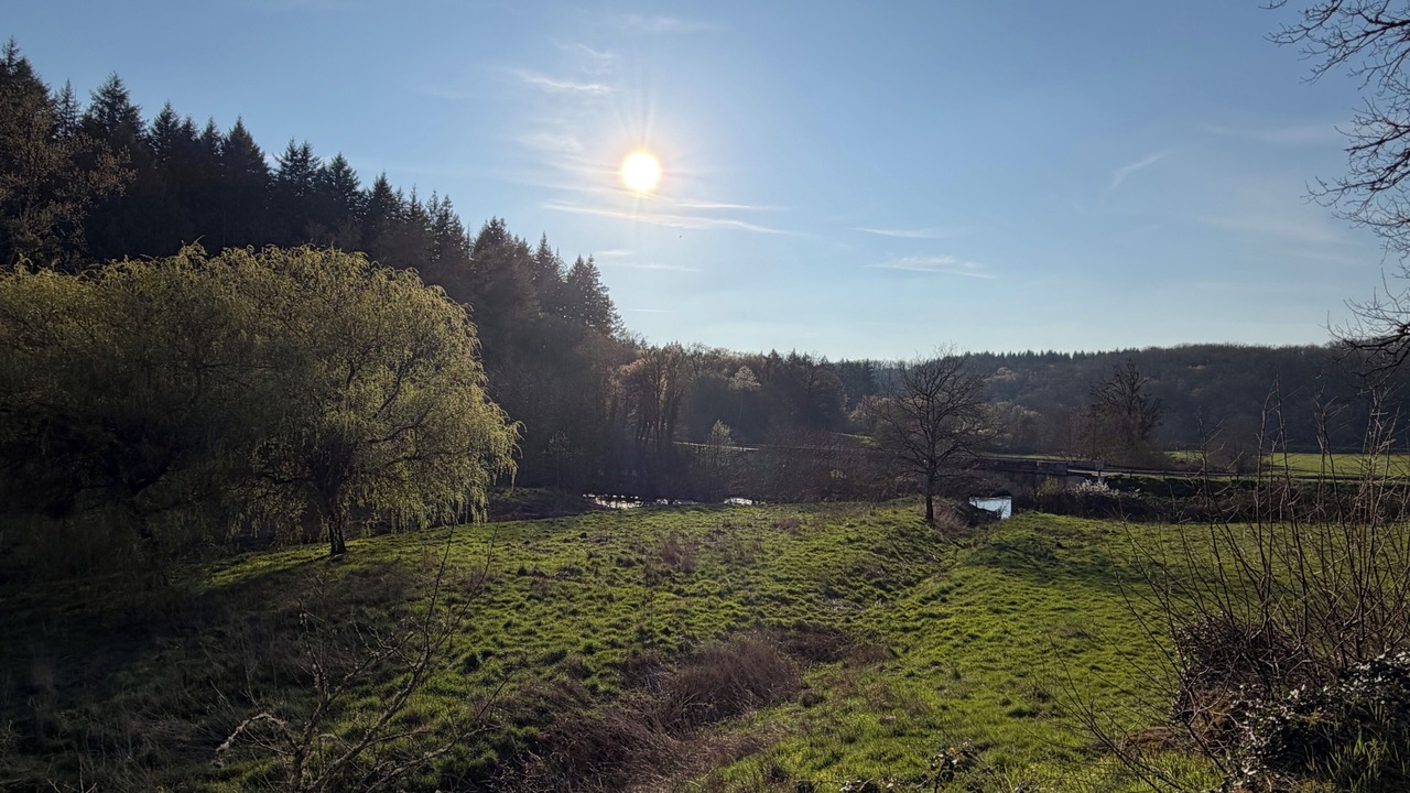 Photo of Others in Vic-de-Chassenay