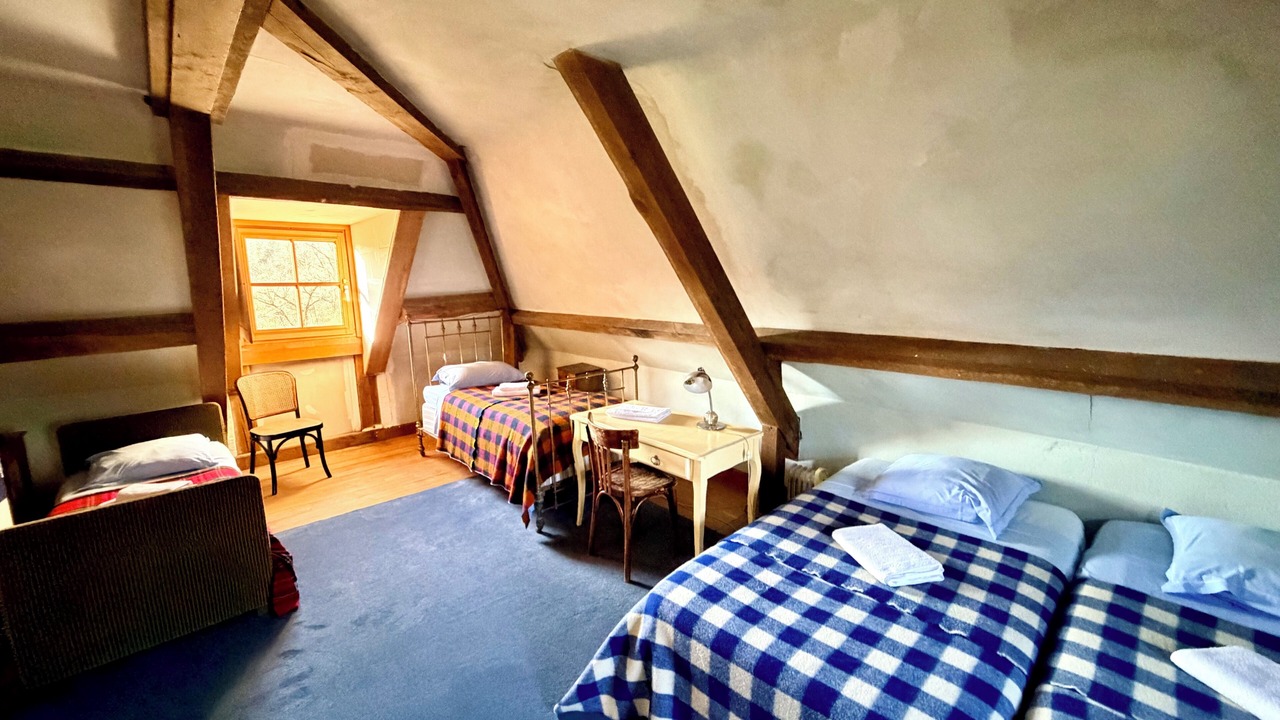 Photo of Bedroom in Vic-de-Chassenay