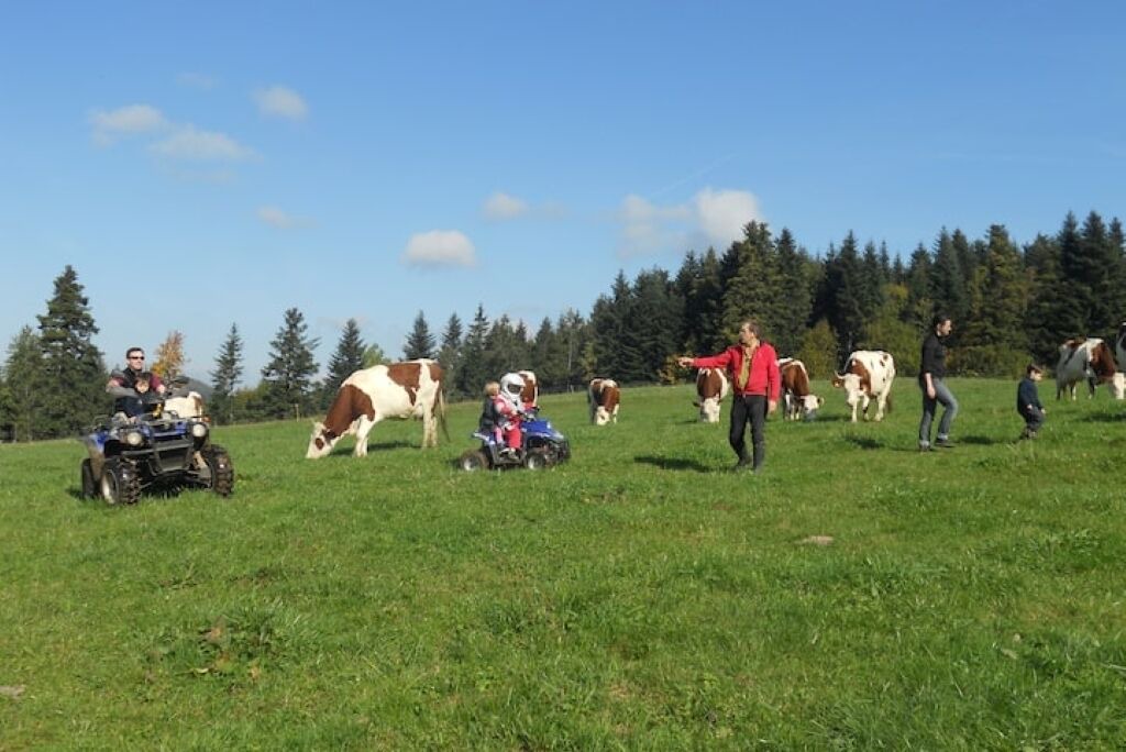 Photo of Others in Sapois