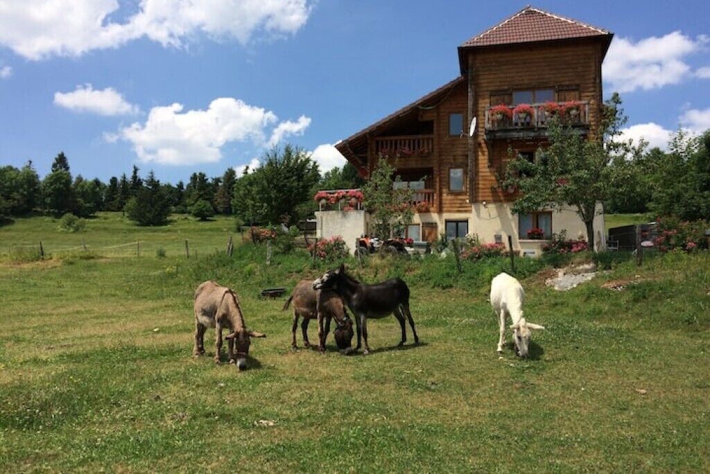 Photo of Outdoor in Sapois