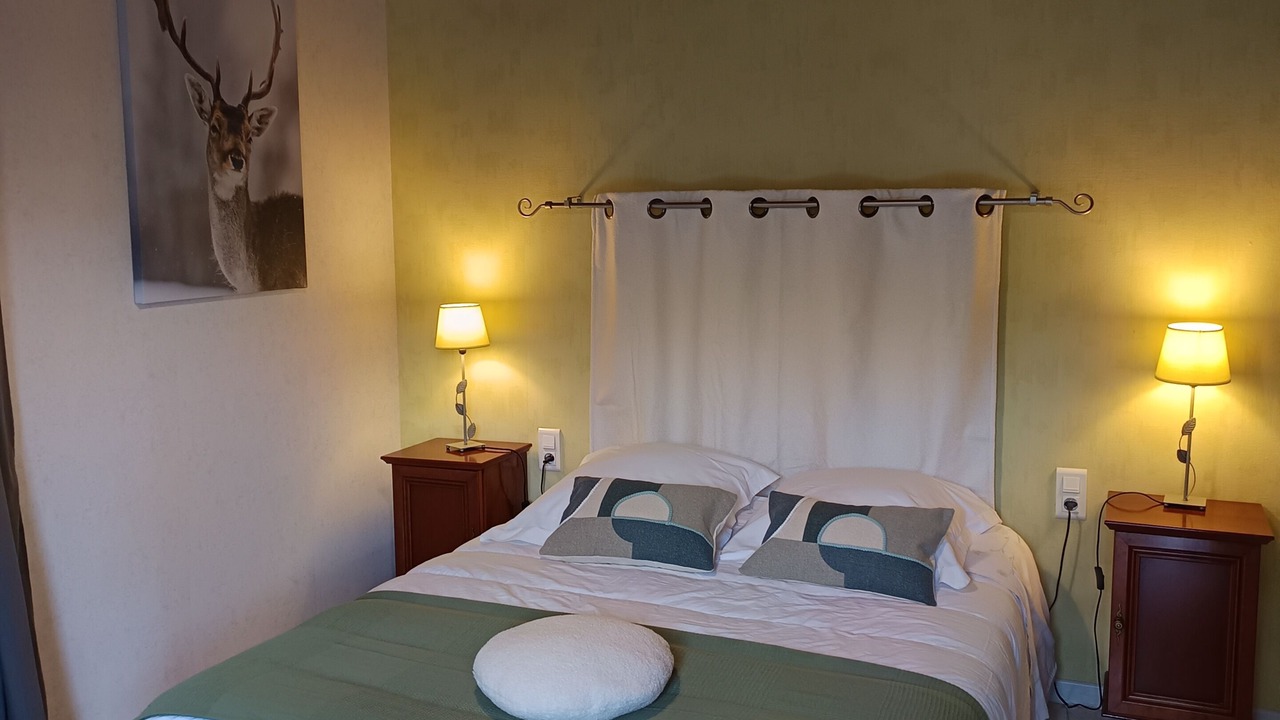 Photo of Bedroom in Commenailles