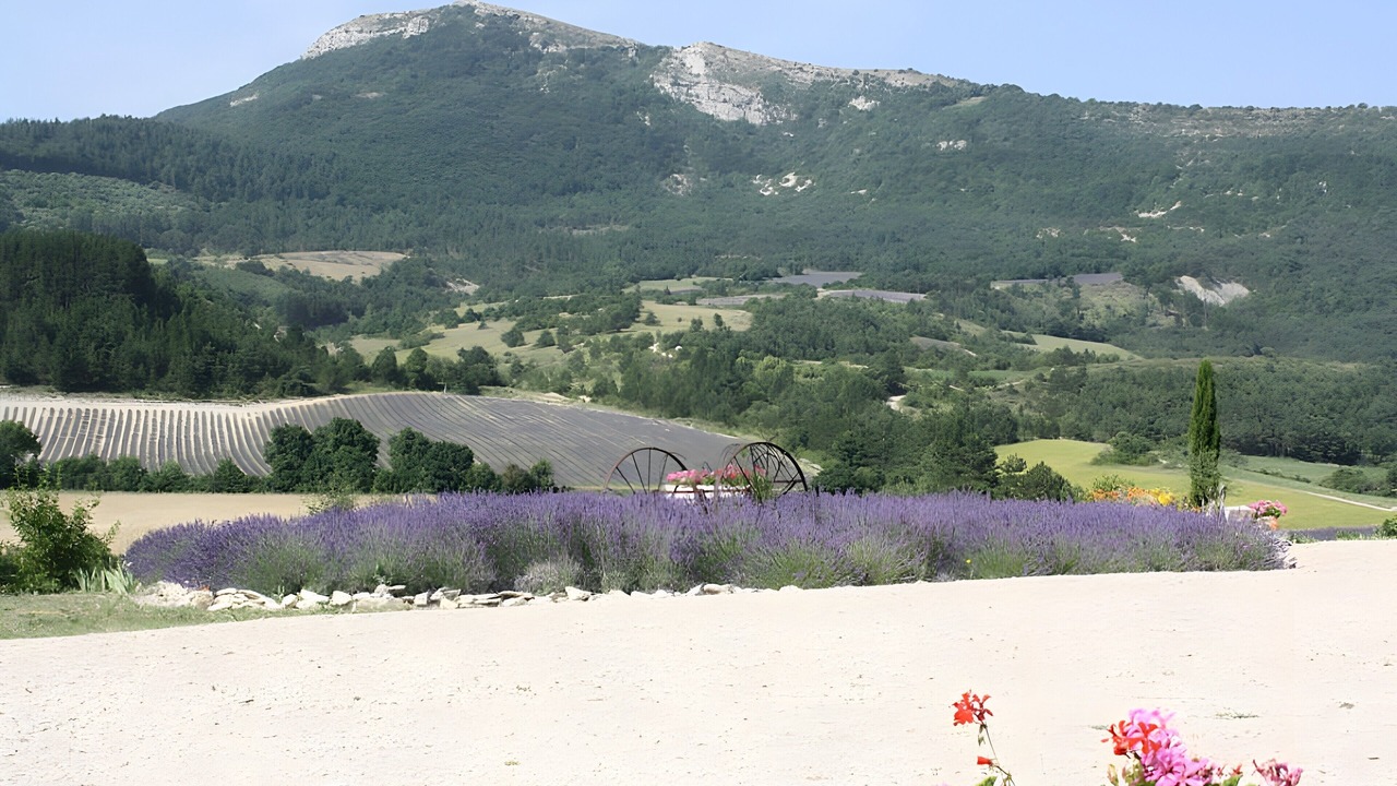 Photo of Others in Mevouillon