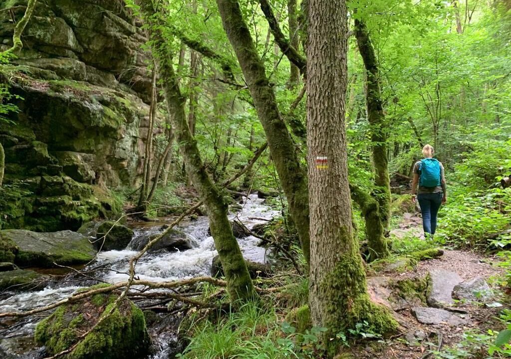 Photo of Others in Cussy-en-Morvan